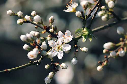 给14岁孩子的生日寄语