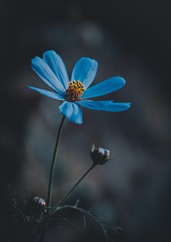 闺女订婚妈妈的祝福语